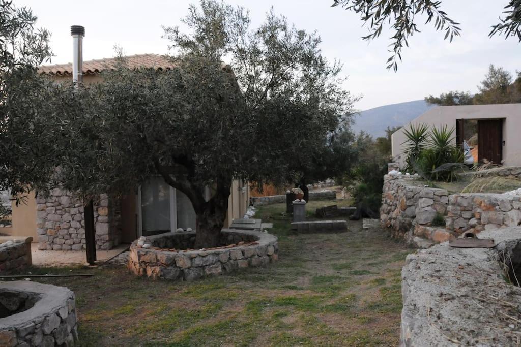 Apartamento Melolia Estate Thebes Habitación foto
